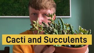 Cactus and Succulent HAUL [upl. by Nivek]