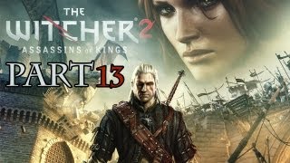 Lets Play The Witcher 2 Part 13  Cedric [upl. by Eecats70]