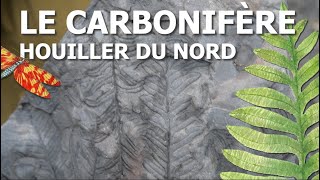 Le Carbonifère houiller du Nord et sa flore fossile [upl. by Phiona]