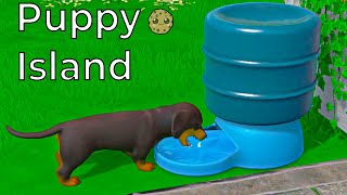 New Puppy Island Shopping  Dogs  And Area [upl. by Nevada]