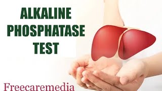 Alp test malayalam Alkaline phosphatase testliver livercancer liverfunction [upl. by Noffihc623]