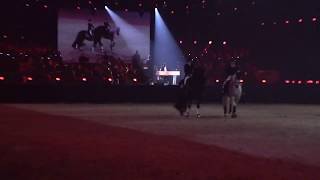 Friesian Proms 8 [upl. by Wie]