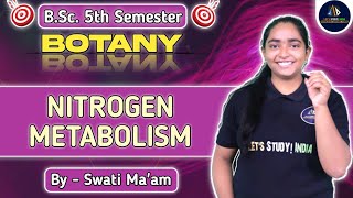 Nitrogen Metabolism  Botany BSc 5th Semester  Nitrogen Metabolism in Hindi  NEP 2020 [upl. by Seto]