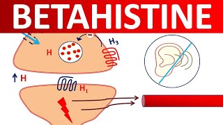 Betahistine tablets  Mechanism precautions side effects amp uses [upl. by Akiner597]