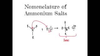 169 CHM2211 Nomenclature of ammonium salts [upl. by Maurizio733]