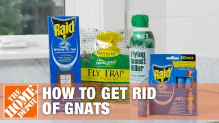 How to Get Rid of Gnats  DIY Pest Control  The Home Depot [upl. by Yragerg]