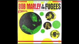 Bob Marley  The Fugees  You Cant Stop the Shining Full Album  David Begun [upl. by Aiasi]