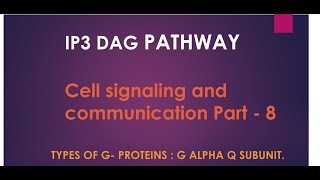 IP3 DAG PATHWAY Gprotein coupled receptor Galpha q subunit [upl. by Iror331]