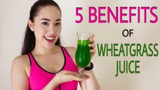 🌿 WHEATGRASS THE MIRACLE SUPERFOOD  Why We All Need To Drink Wheatgrass Juice Daily ☀️ [upl. by Saleem]