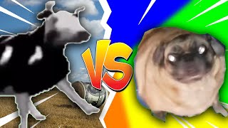 Polish Cow vs Pug Vibing Dancing competition [upl. by Mayce212]