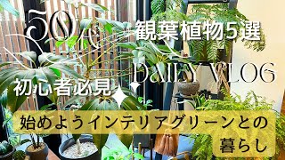 【vlog】初心者さんも必見！おしゃれ＆丈夫な観葉植物5選始めようインテリアグリーンとの暮らし【50代主婦】 [upl. by Gherardi800]