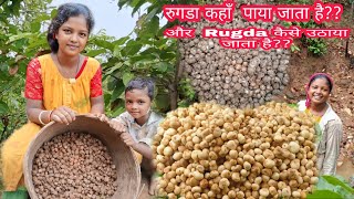 जिंदगी में पहली बार इतना सारा Rugda collect किया village lifestyle vlog video parwatig [upl. by Loutitia936]