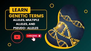 Genetic Terms Alleles Multiple Alleles and Pseudoalleles [upl. by Annavoj596]