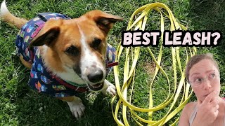 What Leash to Use for a Reactive or Fearful Dog [upl. by Joly]