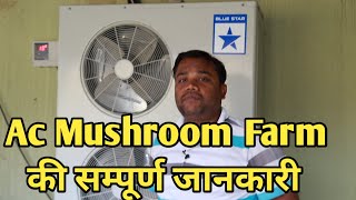 Hi Tech Button Mushroom Ac farm at Home  Ghar pe kheti kare  Full information setup cost amp Profit [upl. by Rosabelle]