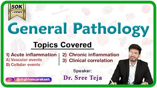 Acute inflammation  Vascular and cellular events  Chronic inflammation Part 1 General Pathology [upl. by Ilocin745]