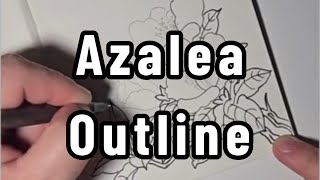 Learn to Draw Azaleas Detailed Floral Outline Art drawing [upl. by Bock]