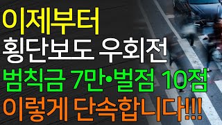 이제부터 단속시작 횡단보도 우회전 범칙금 7만원 • 벌점 10점 이렇게 단속합니다 [upl. by Annovad]