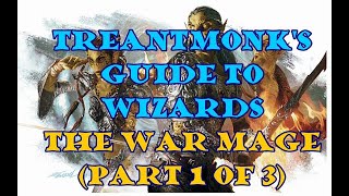 The Warmage A Treantmonk Guide Part 1 of 3 [upl. by Ecyac]