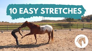 HOW TO STRETCH A HORSE 10 Easy Horse Stretches [upl. by Keefer]