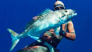 The Green Job fish Uku Spearfishing  Fish in Focus [upl. by Roos]