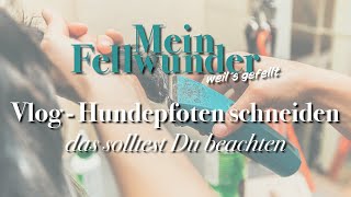 Mein Fellwunder Vlog  Hundepfoten schneiden  das solltest Du beachten [upl. by Medea11]