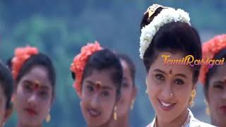 Chittu Kuruvi 1978 All Songs Jukebox  Sivakumar Sumithra  Ilaiyaraaja Tamil Hits [upl. by Ennaecarg116]