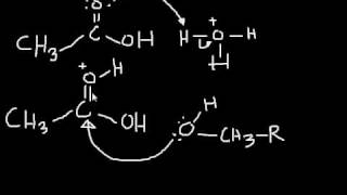 Esterification Mechanism making an ester from a carboxylic acid and an alcohol [upl. by Latashia]