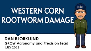 Corn Rootworm Damage  GROW Virtual Agronomist [upl. by Nylia]