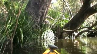 Bremer River  Seven Mile Lagoon [upl. by Langsdon]