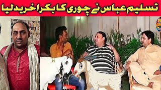 funny video  Eid special  Tasleem Abbas Ne liya chori ka Bakra Funny FaisalabadranaijazBakraeid [upl. by Uchida]