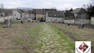 Champagne Bollinger  clos de vignes en foule pour élaborer la Cuvée Vieilles Vignes Françaises [upl. by Yelats]