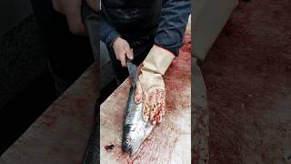 Clean the trout from the loin Step by Step [upl. by Edelson]