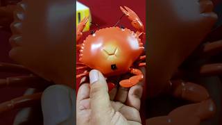 RC Crab Toy Adventure Watch It Move and Play ytshorts ytshortsindia rctoys [upl. by Junina718]