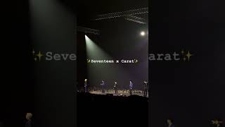 Imperfect love  Seventeen with Carat concert seventeen kpopidol bethesun [upl. by Tillion441]