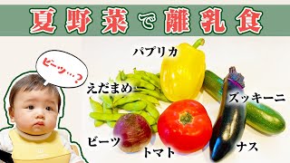 旬の野菜を食べさせたい！意識の高い離乳食ストック【夏編】 [upl. by Lomasi]