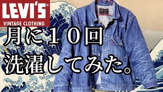 【着用13ヶ月】LVC501XX506XX月に10回洗濯するとこうなります【カイハラデニム日本製】ジーンズ エイジング リーバイス 色落ち セットアップ 経年変化 ファッション [upl. by Langham]