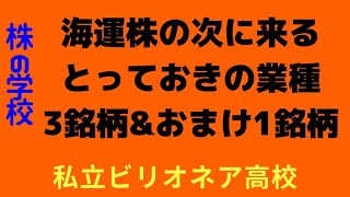 【海運の次に来る銘柄】海運株の爆上げ、高配当があるなかで、ネクスト海運株と言われてる銘柄があります。本日は、その銘柄を紐解く授業です。見逃し厳禁！！【株投資】【195Period】 [upl. by Dzoba]