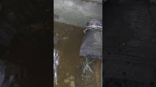 Water through Duckbill Check Valve [upl. by Misha67]