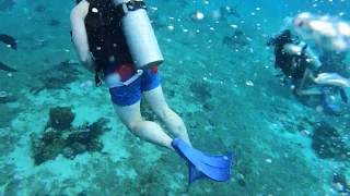 Scuba Diving Cam 2 Cozumel Mexico  9262019  Royal Caribbean Harmony of the Seas Cruise [upl. by Willner]