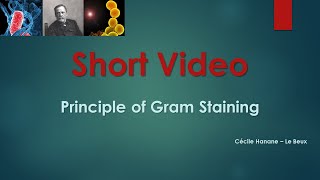 GRAM STAINING PRINCIPLE [upl. by Behm309]