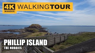 The Nobbies Walking Tour in Phillip Island Australia 4K 60fps [upl. by Bevis]