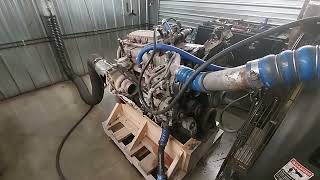 Used 2015 Cummins ISC Engine Test Run 50019079 [upl. by Gavrielle]