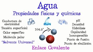 💧El agua propiedades Físicas y Químicas💥 Fácil y Rápido  FÍSICA  QUÍMICA [upl. by Malvie417]