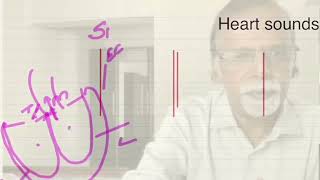 Auscultation  Heart sounds [upl. by Dorcea]