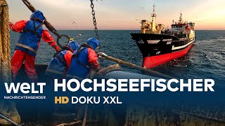 Deutschlands größter Hochseetrawler auf Fangfahrt  HD Doku XXL [upl. by Nahta]