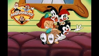 64 Animanicast 64 with Animaniacs quotLookit the Fuzzy Headsquot and quotNo Face Like Homequot [upl. by Oag]