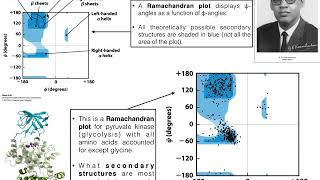 How to Interpret Ramachandran Plots [upl. by Damon200]