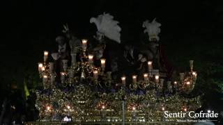 4K Humildad y Paciencia en los Jardines de Colón  Semana Santa Córdoba 2017 [upl. by Anicul1]