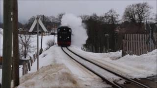 Unterwegs mit der Fichtelbergbahn [upl. by Wurst]